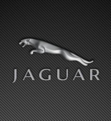 Jaguar leaper logo carbon fiber 1440x900 290x290 1 