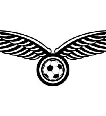 204 vector wings logo design